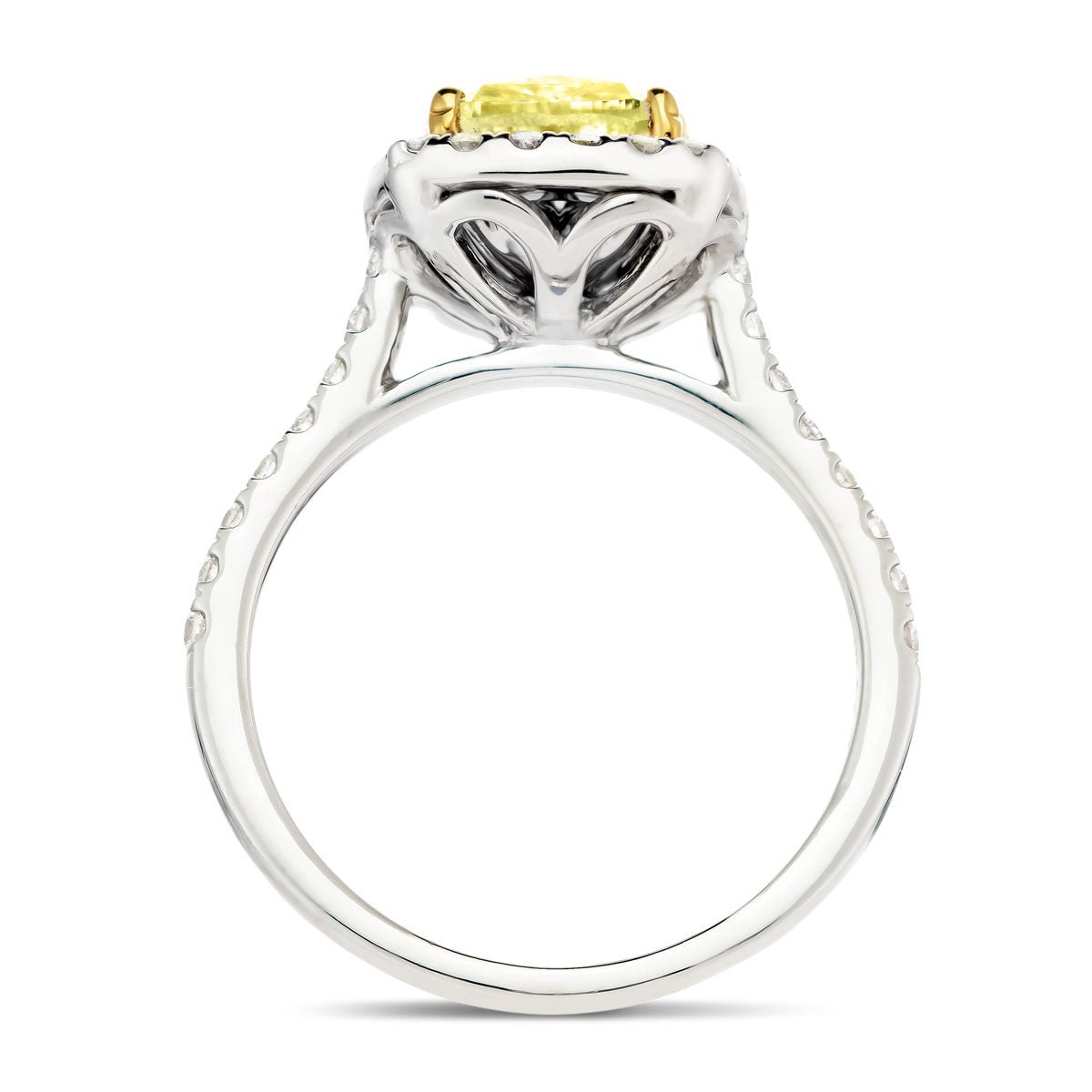 Certified Yellow Diamond Cushion Engagement Ring 2.40ct Ring in 18k White Gold - All Diamond