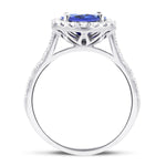 Halo Oval Tanzanite 2.60ct and Diamond 0.59ct Ring in 18K White Gold - All Diamond