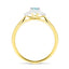 Aquamarine 0.50ct Diamond 0.04ct Cluster Ring 9k Yellow Gold - All Diamond