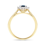 Blue Sapphire 0.60ct and Diamond 0.10ct Ring In 9K Yellow Gold - All Diamond