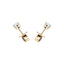 Diamond Stud Earrings 0.20ct G/SI Quality in 18k Yellow Gold - All Diamond