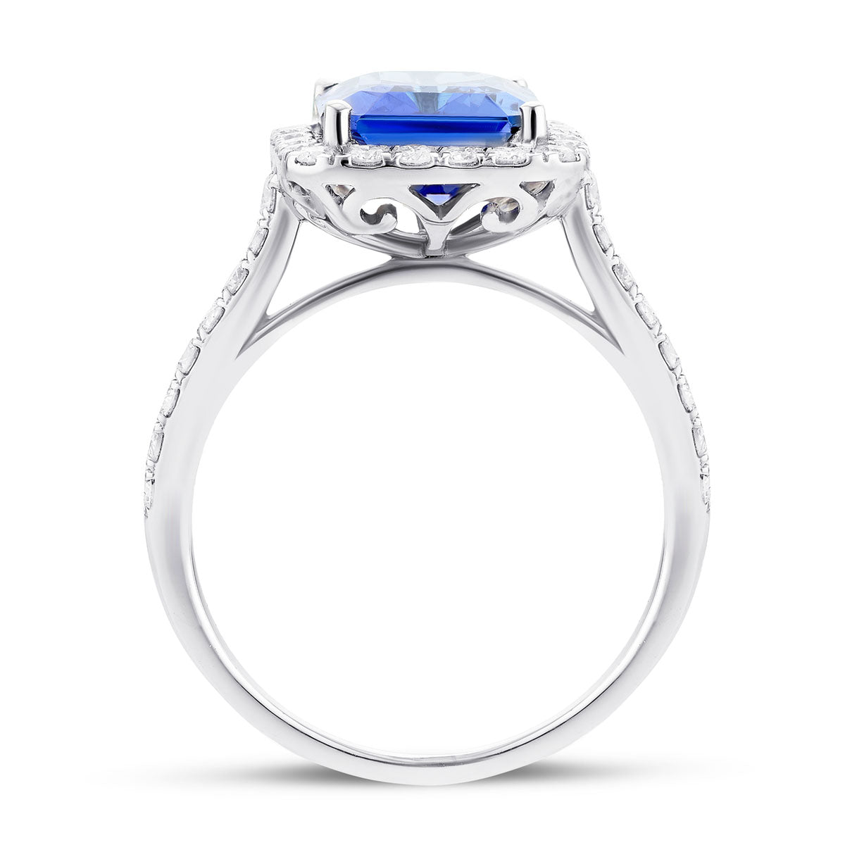 Halo Tanzanite 4.86ct and Diamond 0.53ct Ring in 18K White Gold - All Diamond