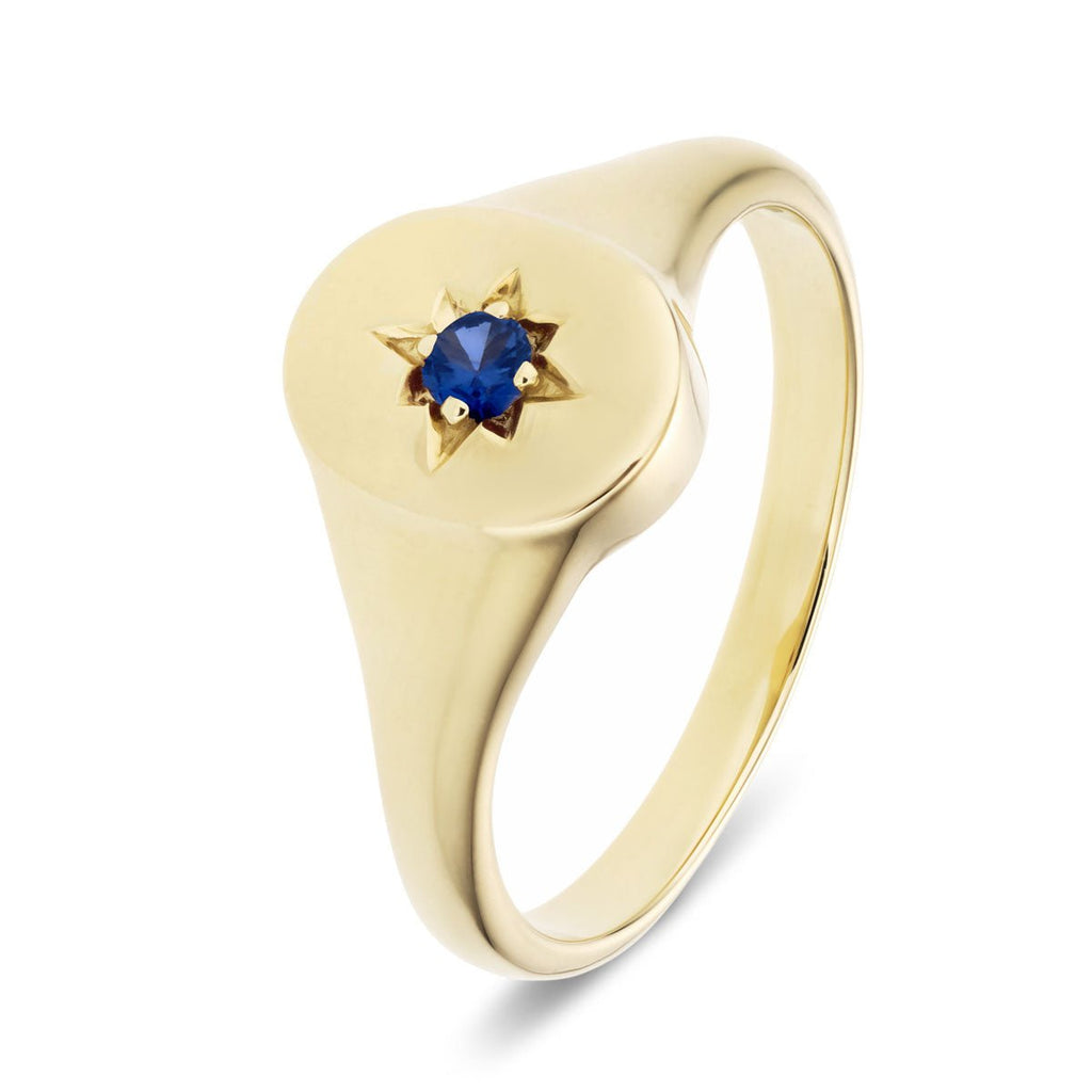 Mens Single Blue Sapphire Signet Ring 0.07ct in 9k Yellow Gold - All Diamond
