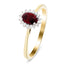 Ruby 0.50ct and Diamond 0.10ct Ring In 9K Yellow Gold - All Diamond